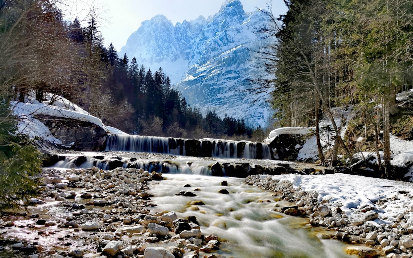 gdfbvfdvgrfgrevggfdvfvh