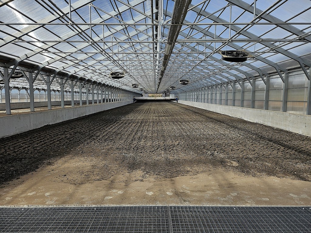 čiščenje odpadne vode